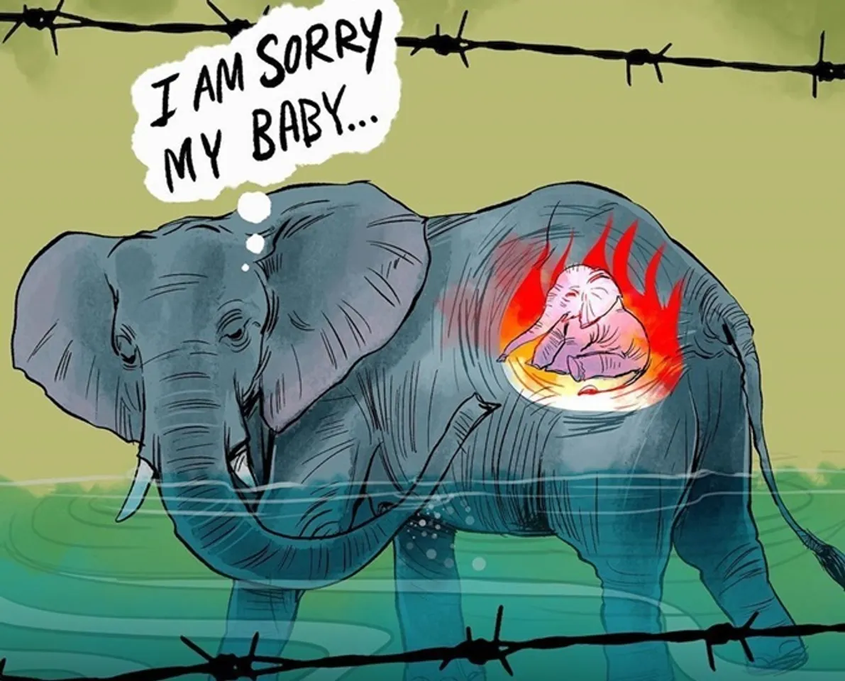 Pregnant elephant dead in Kerala Artworks flood social media