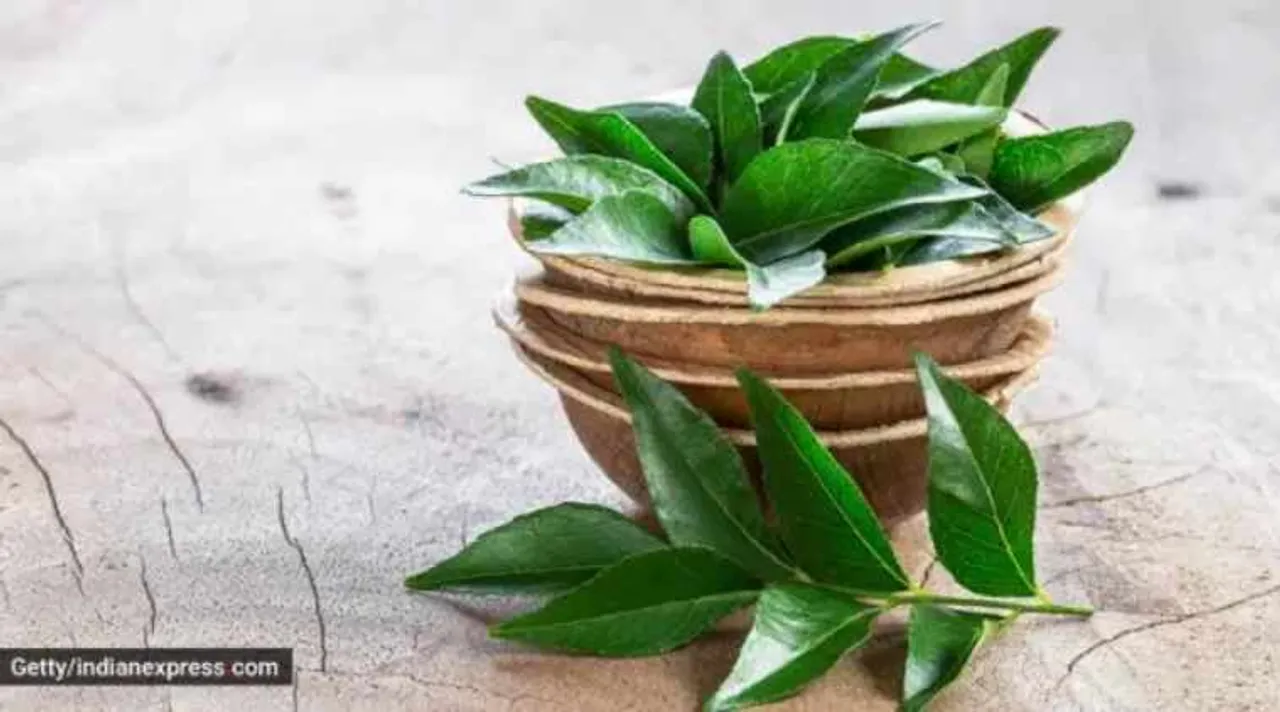 Healthy hair, hair tips, premature greying of hair, hair masks, hair care, curry leaves hair mask, kadi patta for hair care, indian express, indian express news