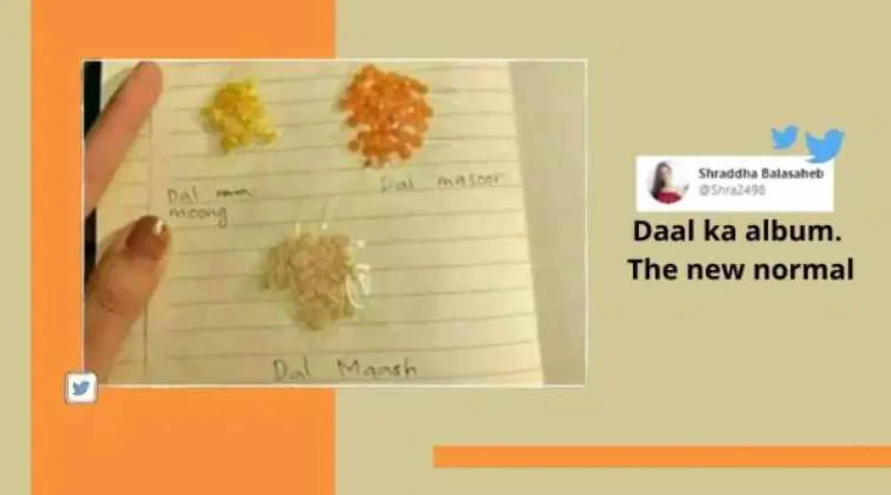 daal, lentils, daal identification, daal manual, lentils, manual, desi tutorials, desi jugaad, trending news, What is trending, Indian Express news