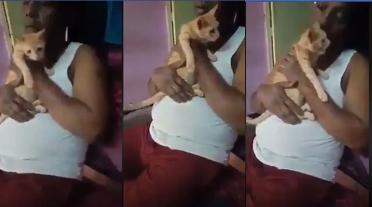 Viral trending video of cat saying yes to marriage