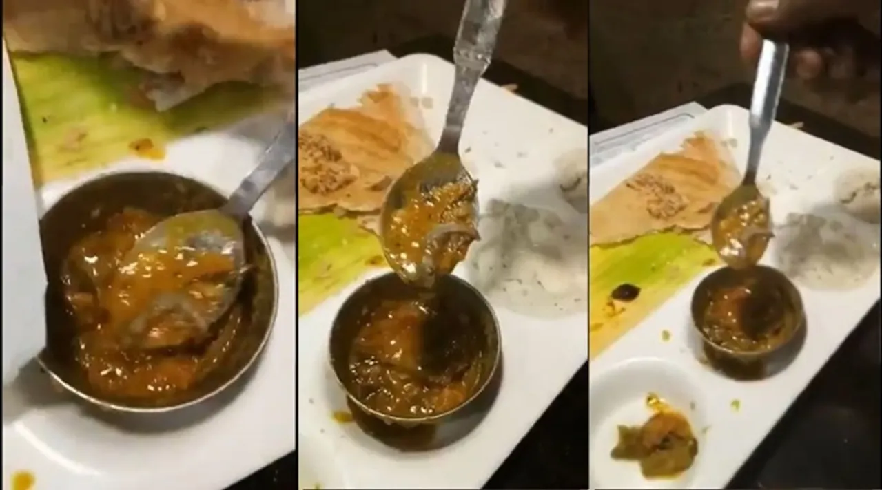 Lizard found in Sambar at Delhi Saravana Bhavan Hotel