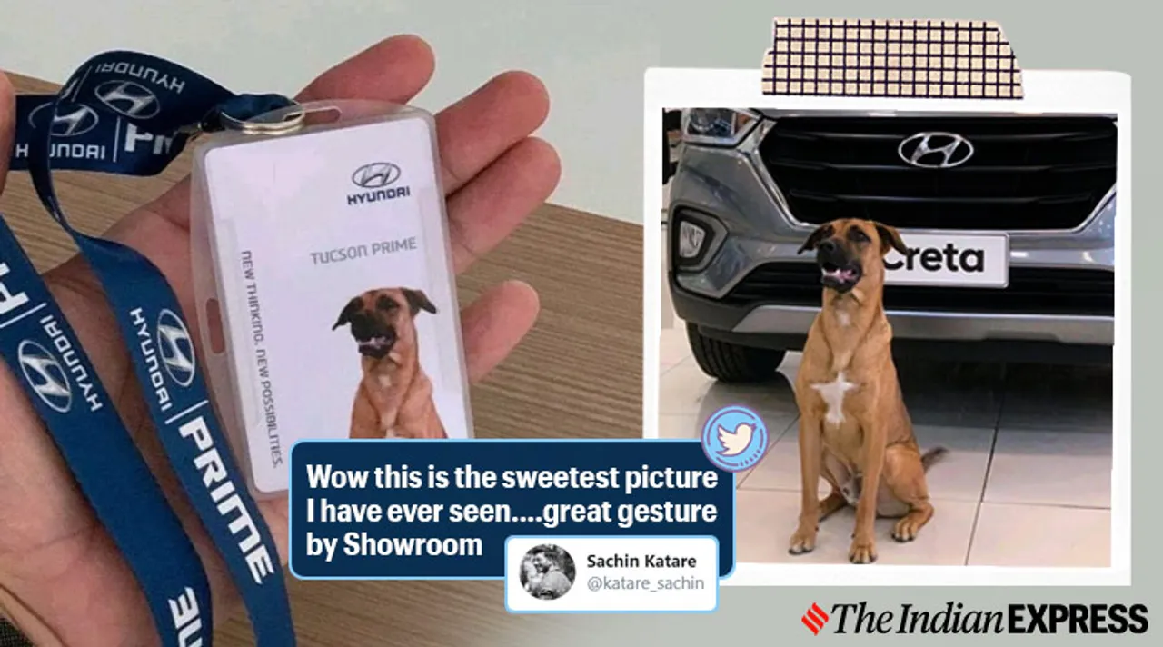 Car showroom adopts local stray dog and make him ‘sales consultant’