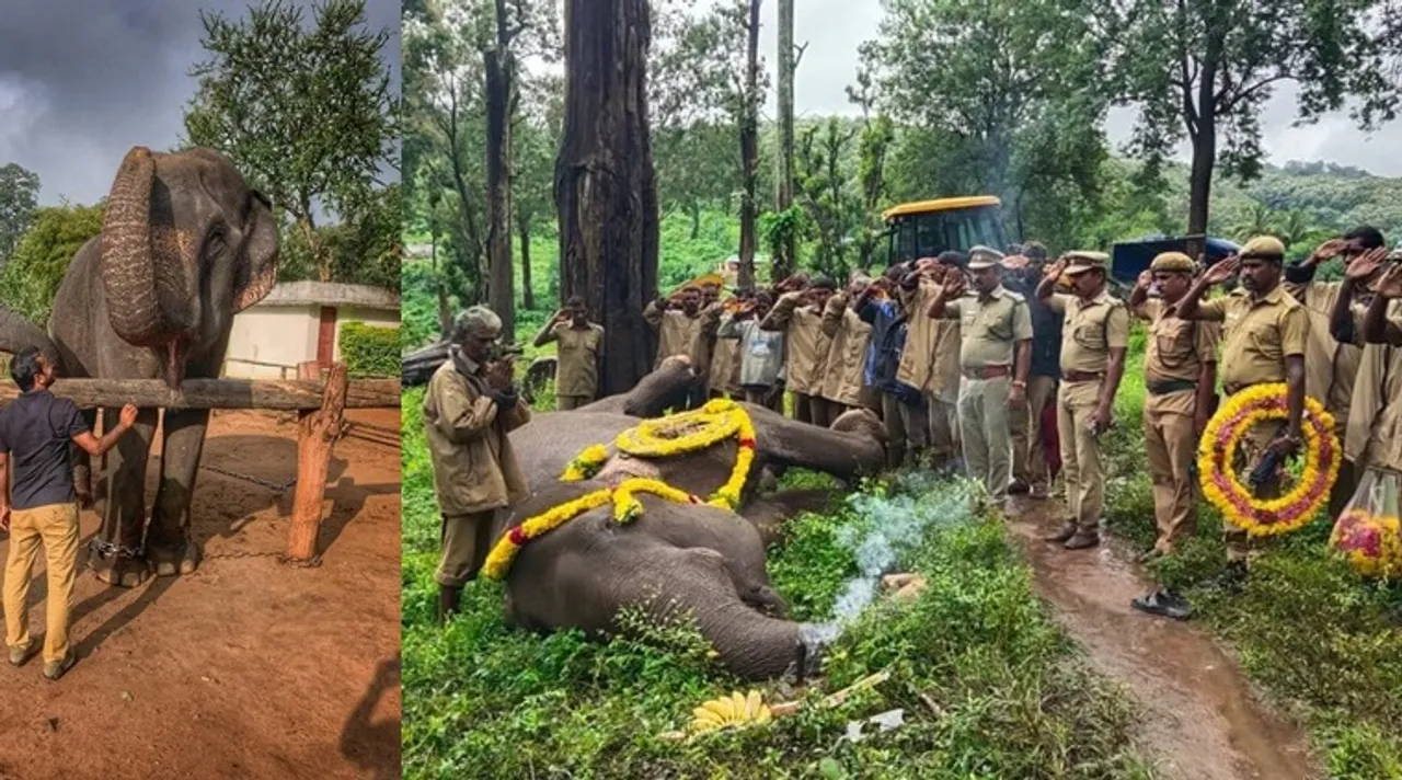 Asia's tallest female elephant Kalpana passed away in Coimbatore