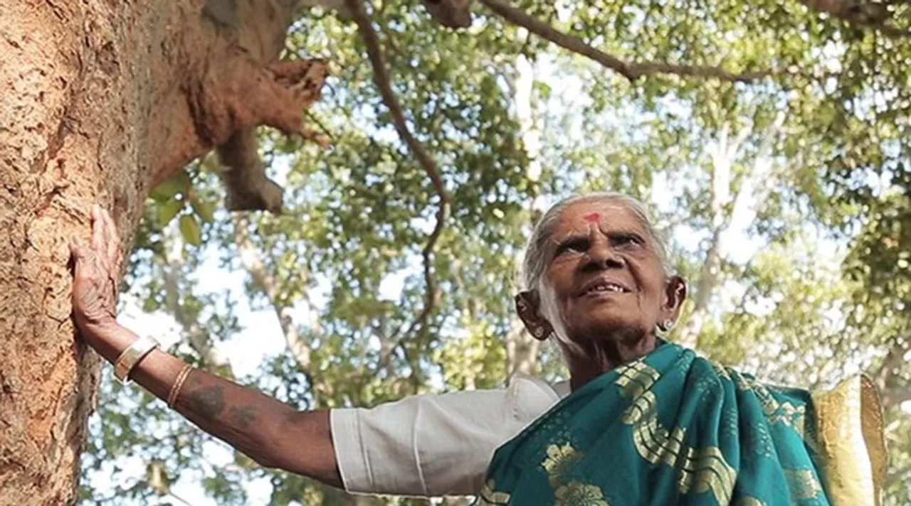 Environmentalist Saalumarada Thimmakka awarded honorary doctorate by central university of Karnataka