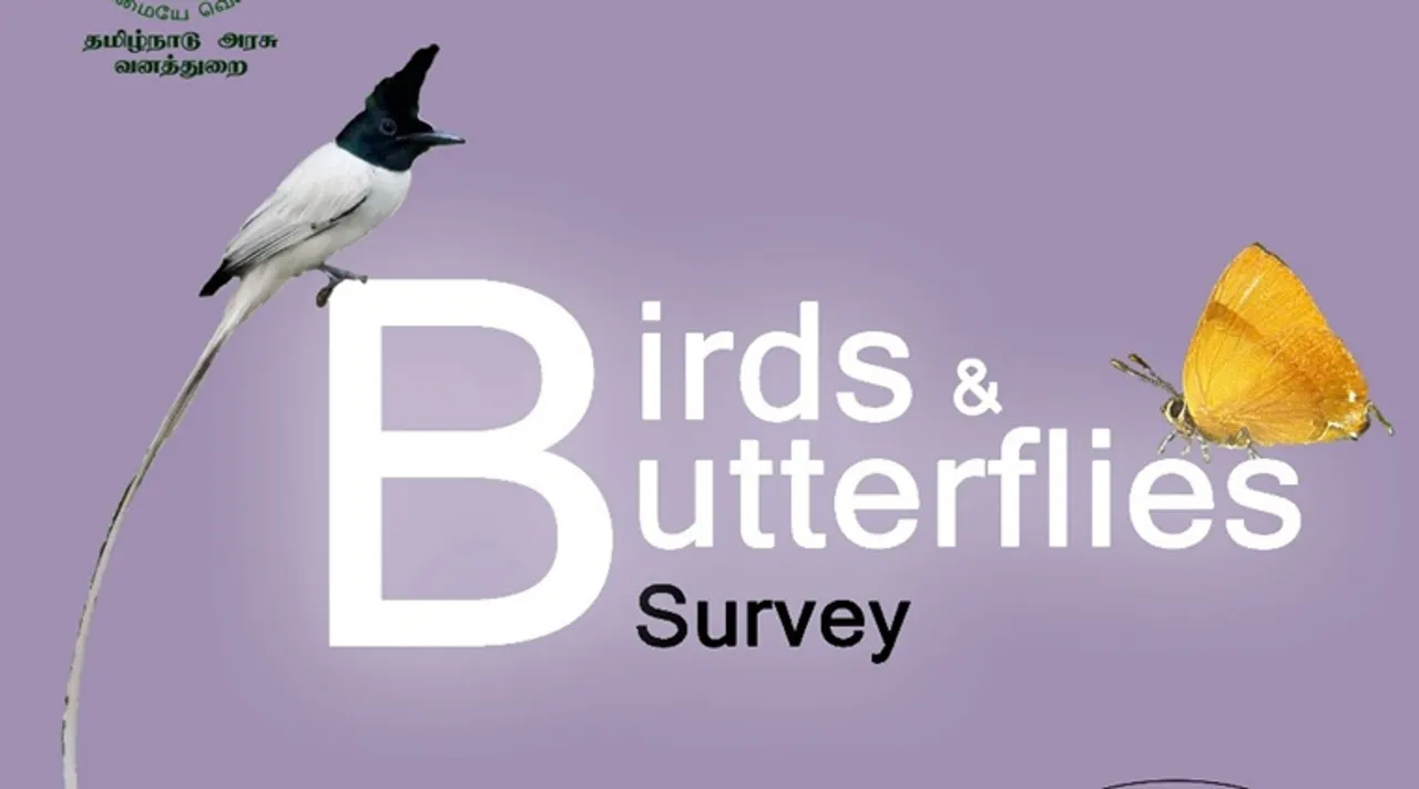 Coimbatore forest division Birds and butterflies survey starts from dec 12