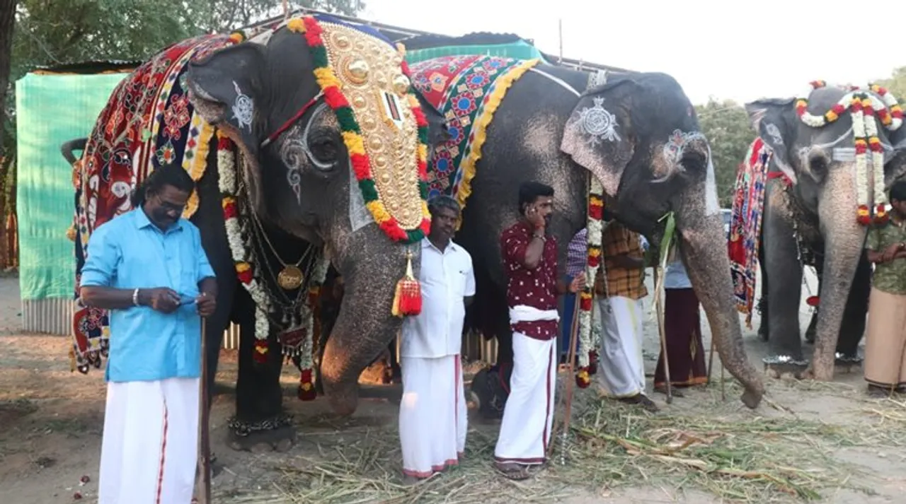 48-day retreat for temple elephants kicks off near Mettupalayam