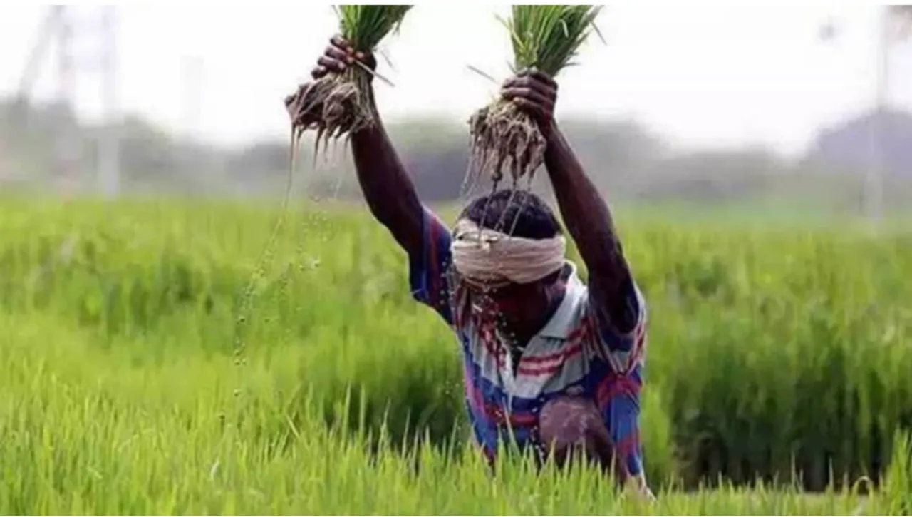 Behind reduction in agriculture budget lower spending under pm kisan Tamil News