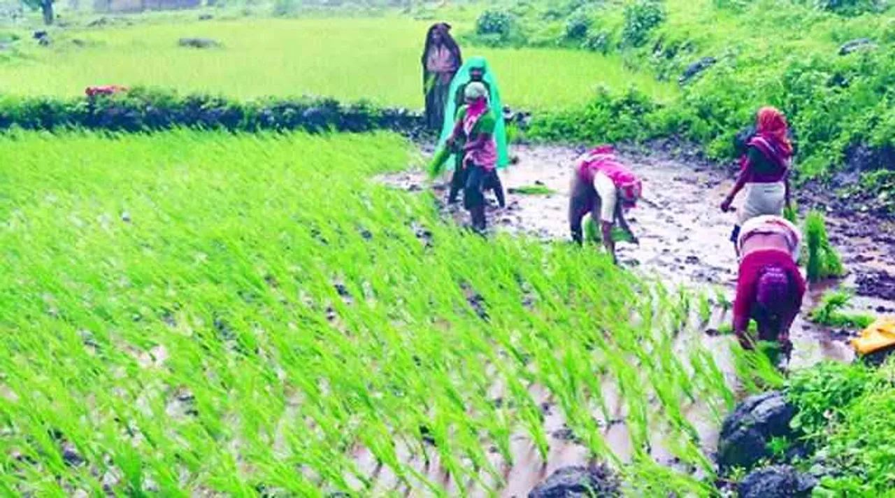 tamil nadu govt announced agri loan waiving, agri loan waiving may support to aiadmk, tamil nadu assembly elections 2021, விவசாயக் கடன்கள் தள்ளுபடி, சட்டமன்றத் தேர்தல் 2021, அதிமுக, தமிழ்நாடு, விவசாயக் கடன் தள்ளுபடி, கூட்டுறவு வங்கி விவசாயக் கடன் தள்ளுபடி, tn assembly elections 2021, farmer loan, agri loan