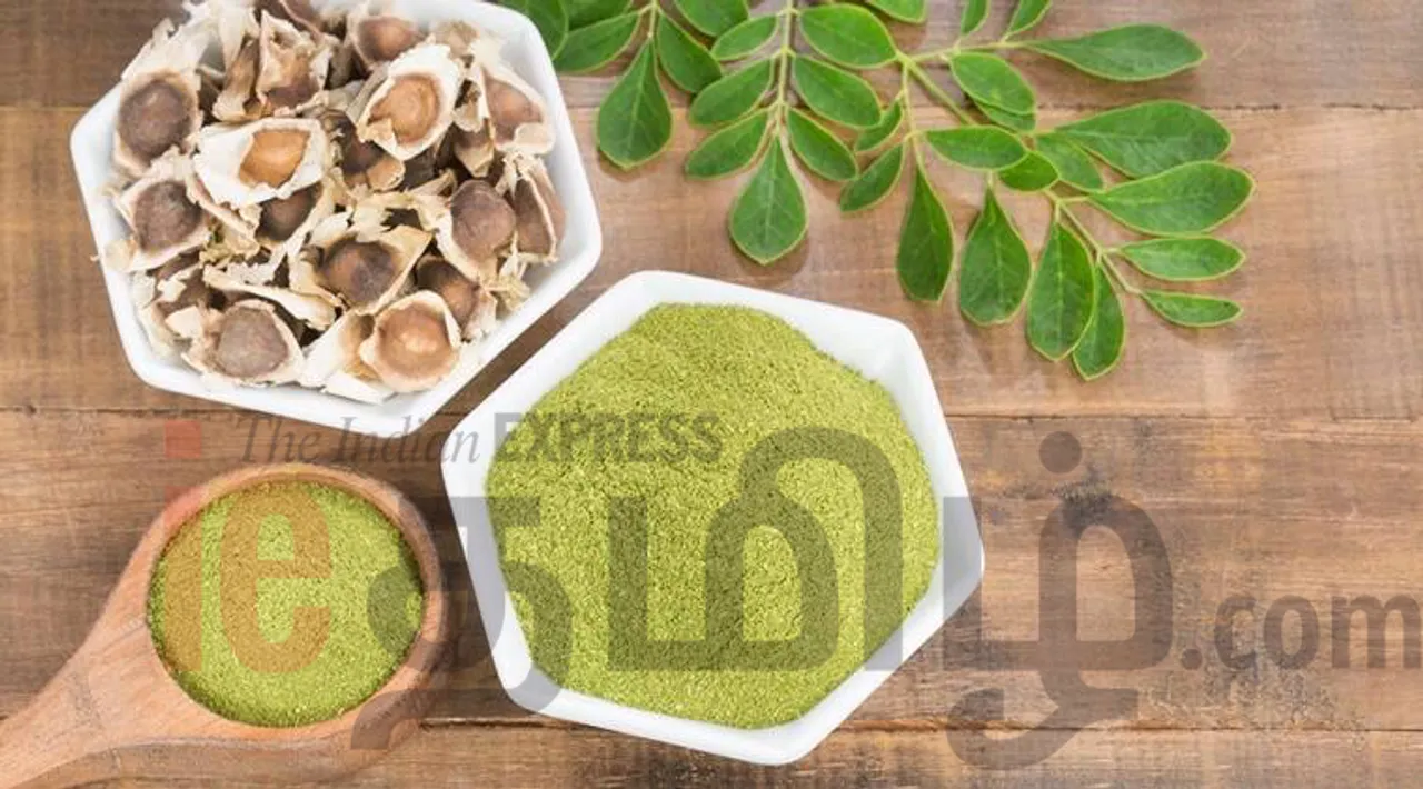 Lifestyle news in tamil how to use Moringa leaves to rise immunity, and to weight loss,