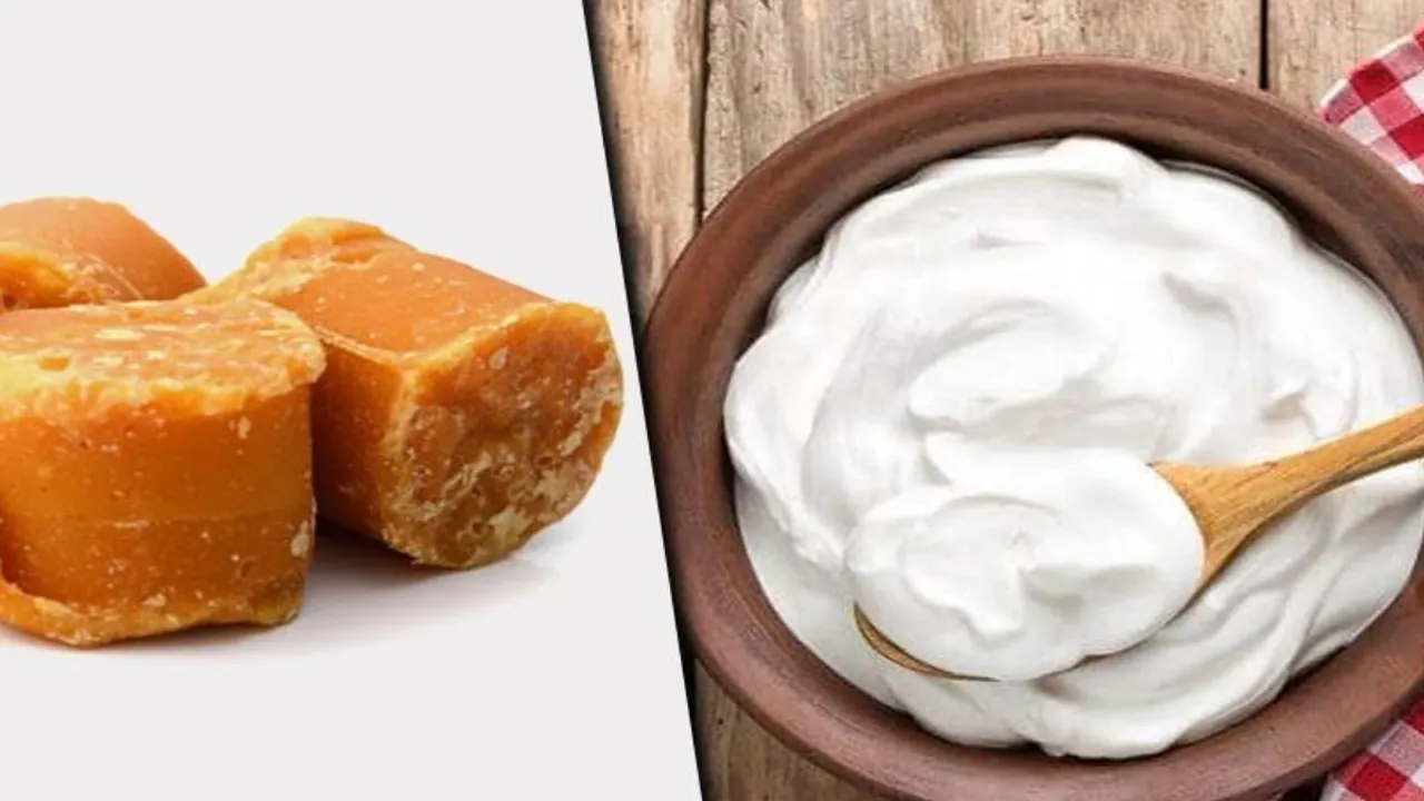 Healthy food Tamil News: Benefits Of Curd and Jaggery in tamil
