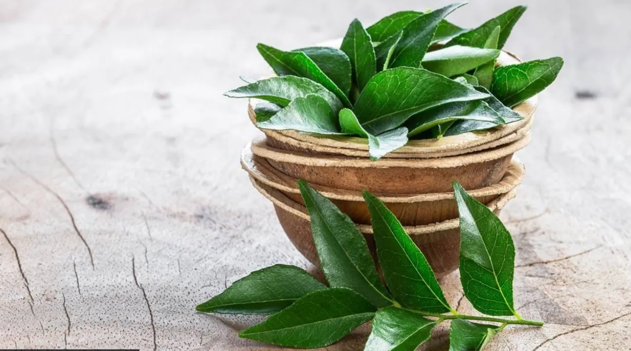 Healthy food Tamil News: Health benefits of curry leaves in tamil