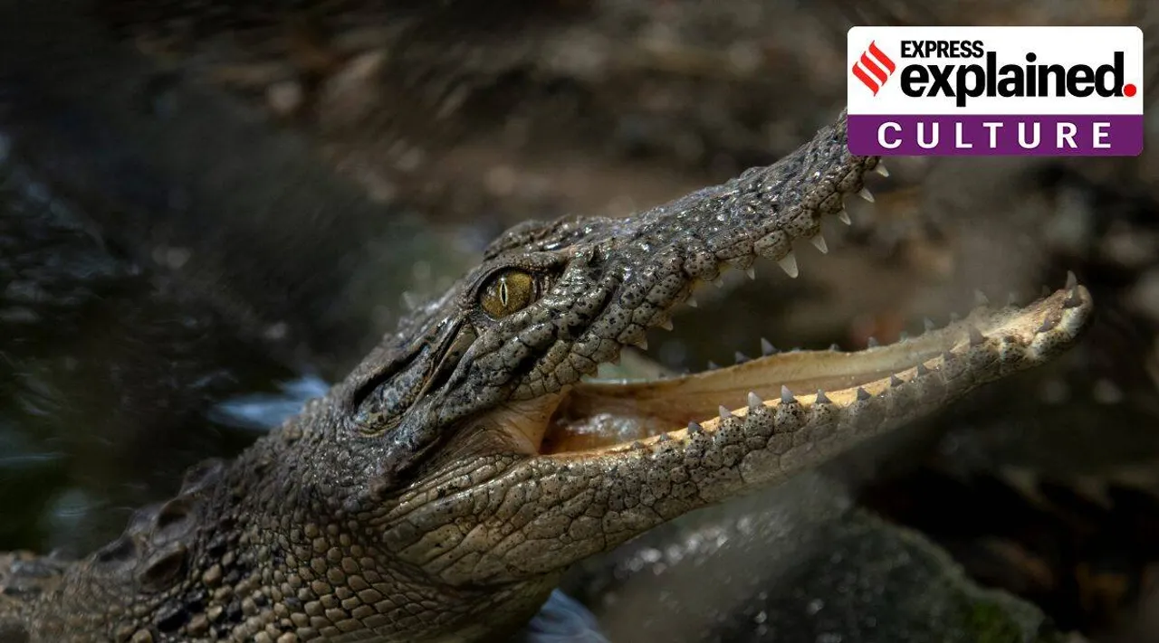 The science and myth behind crocodiles tears