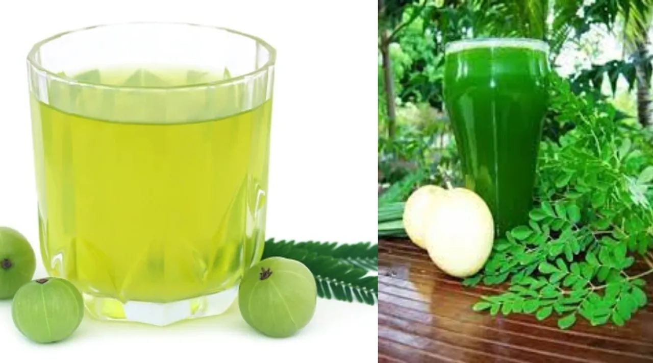 Immunity boosting drinks Tamil News: Build Your Immunity to Fight Covid with Amla and Moringa leaves