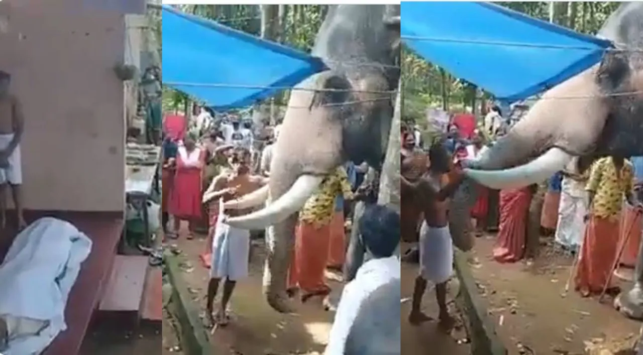 Tamil Viral news Trending video of elephant paying last respect