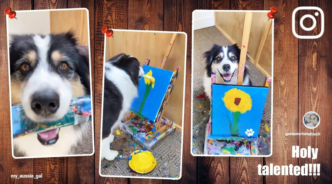 viral video of dog painting flower on canvas