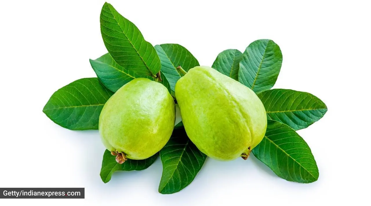 Tamil Health tips: Guava Health Benefits in tamil