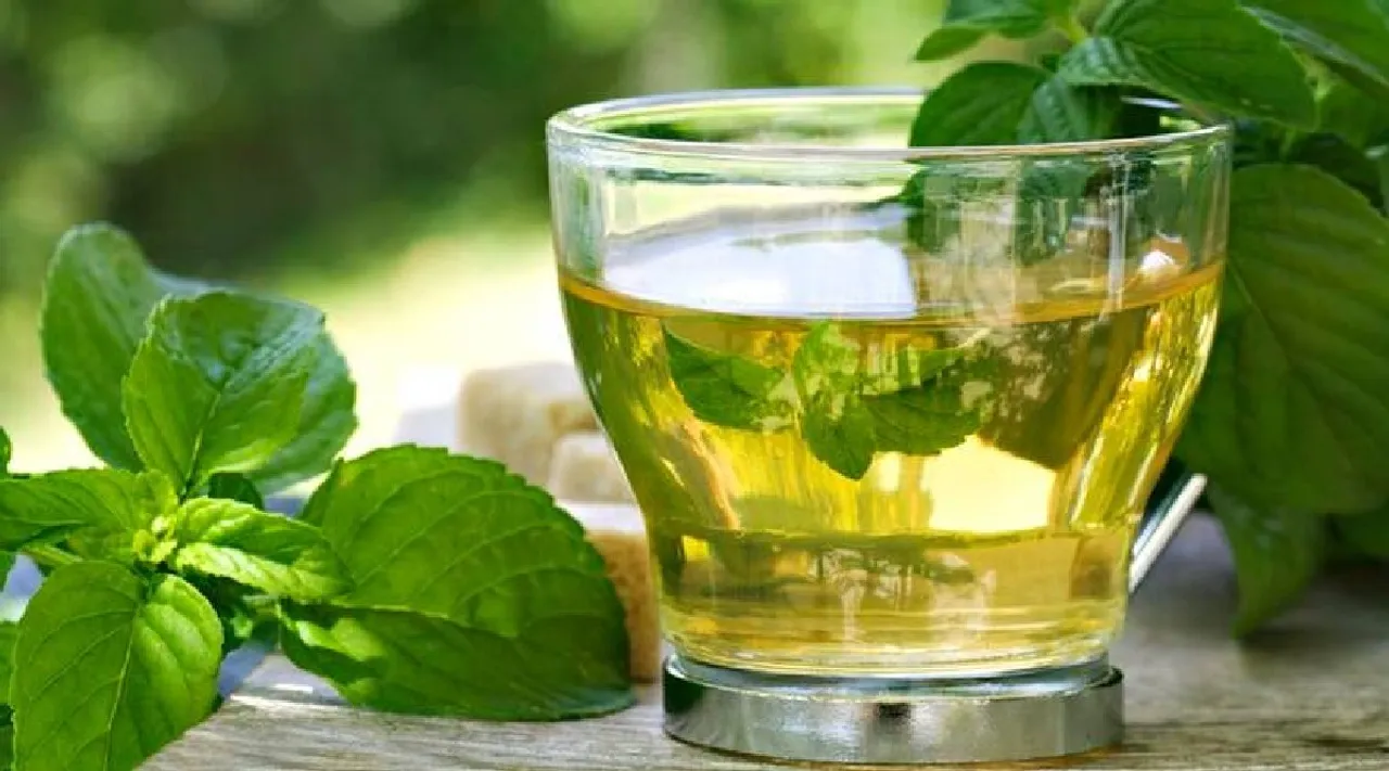 Weight loss drinks tamil: How and when to have green tea in tamil