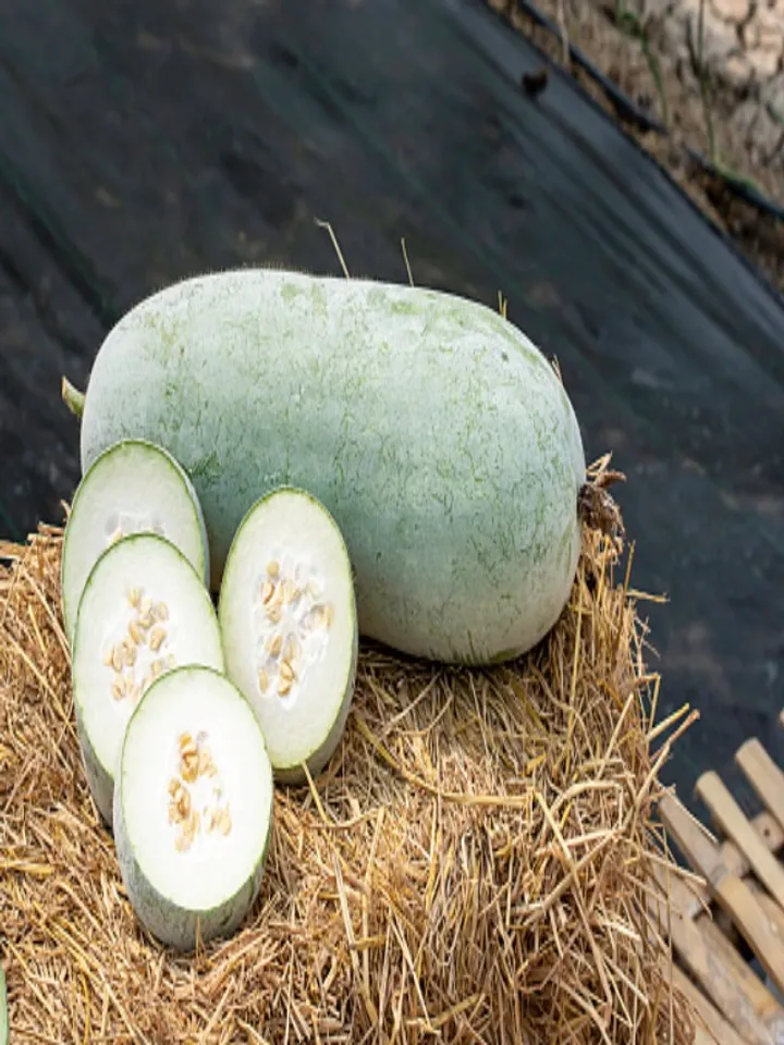 ash gourd - unsplash (1)