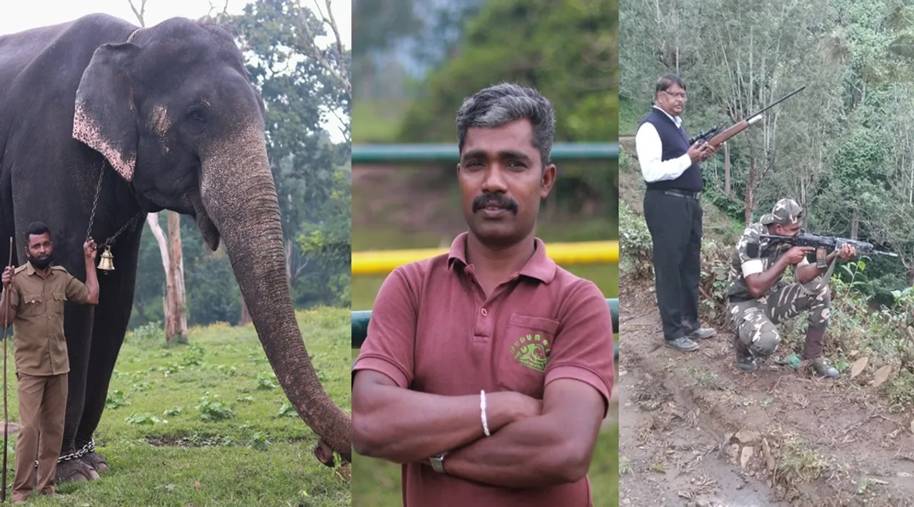 Real heroes of T23 operation & 3 other man eaters of Nilgiris