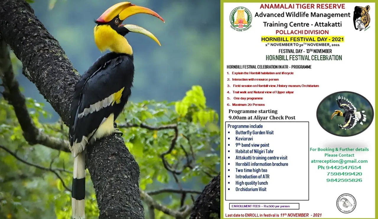 Anamalai Tiger Reserve, Hornbill festival