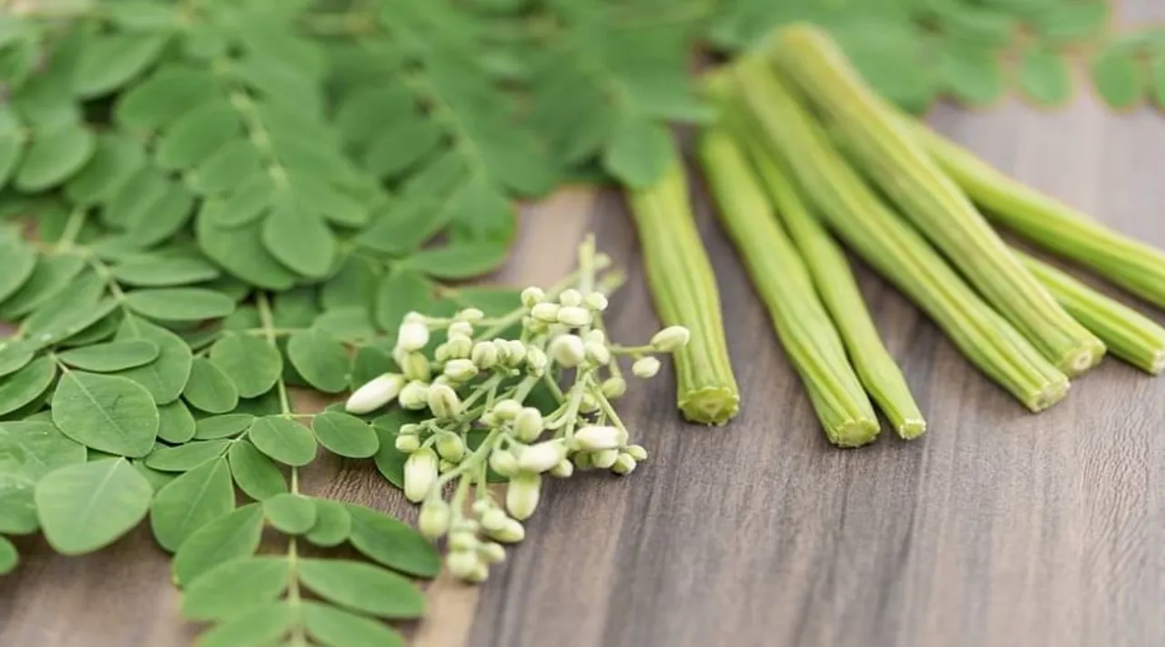 moringa leaves benefits tamil: blood pressure and diabetes curing murungakkai recipe