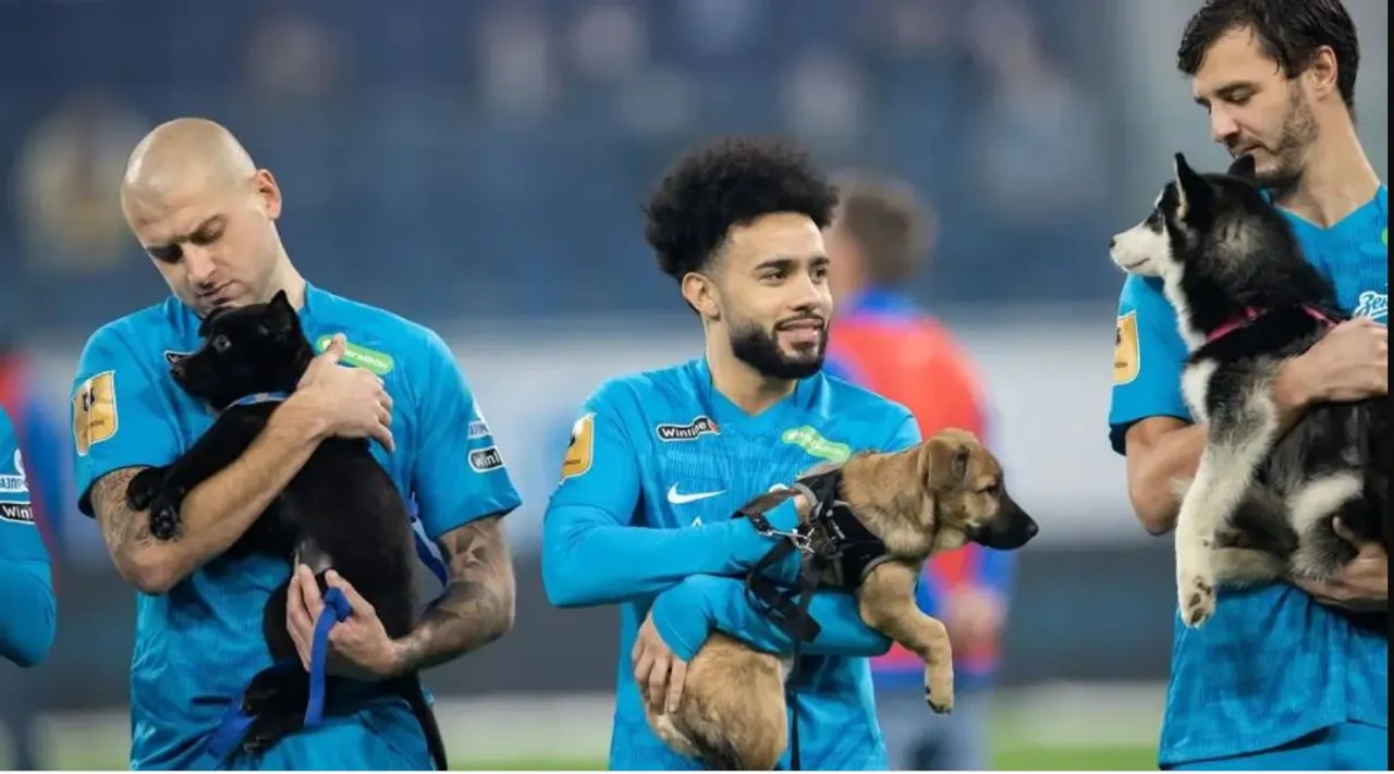 viral video of Russian football team walking with shelter dogs