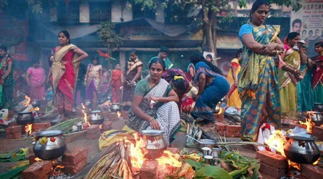 டேஸ்டி சர்க்கரைப் பொங்கல்... இப்படி செய்து பாருங்க; சந்தோஷம் பொங்கும்!