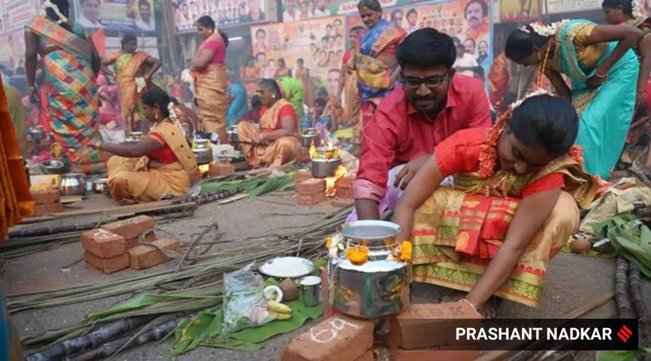 Tamil News: தமிழகம் முழுவதும் பொங்கல் பண்டிகை கோலாகலம்!