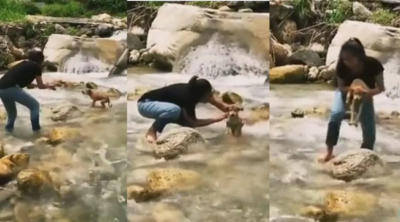 Viral video of young girl rescuing a puppy