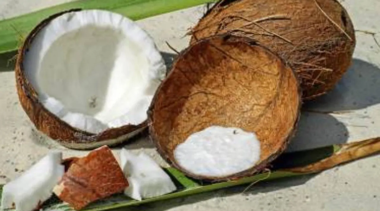 easy way to grind coconut, super tips to grind coconut within minutes, சில நிமிடங்களில் தேங்காய் துருவ சுலப டெக்னிக், தேங்காய் துருவ சூப்பர் டிப்ஸ், தேங்காய் துருவுவது எப்படி, coconut grind, coconut, coconut recipie, coconut dish, coconut mixer