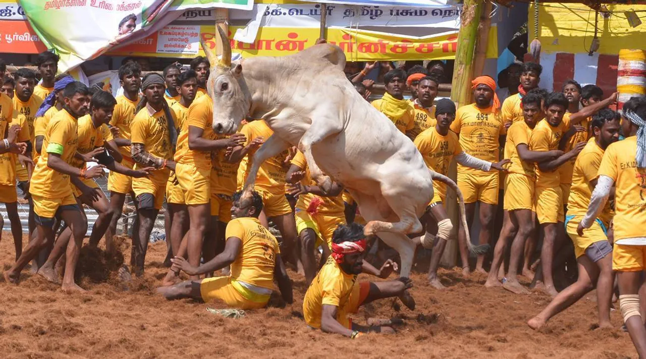 Tamil News Today : பாலமேட்டில் இன்று ஜல்லிகட்டு போட்டி! சிறந்த மாடுபிடு வீரருக்கு கார் பரிசு!