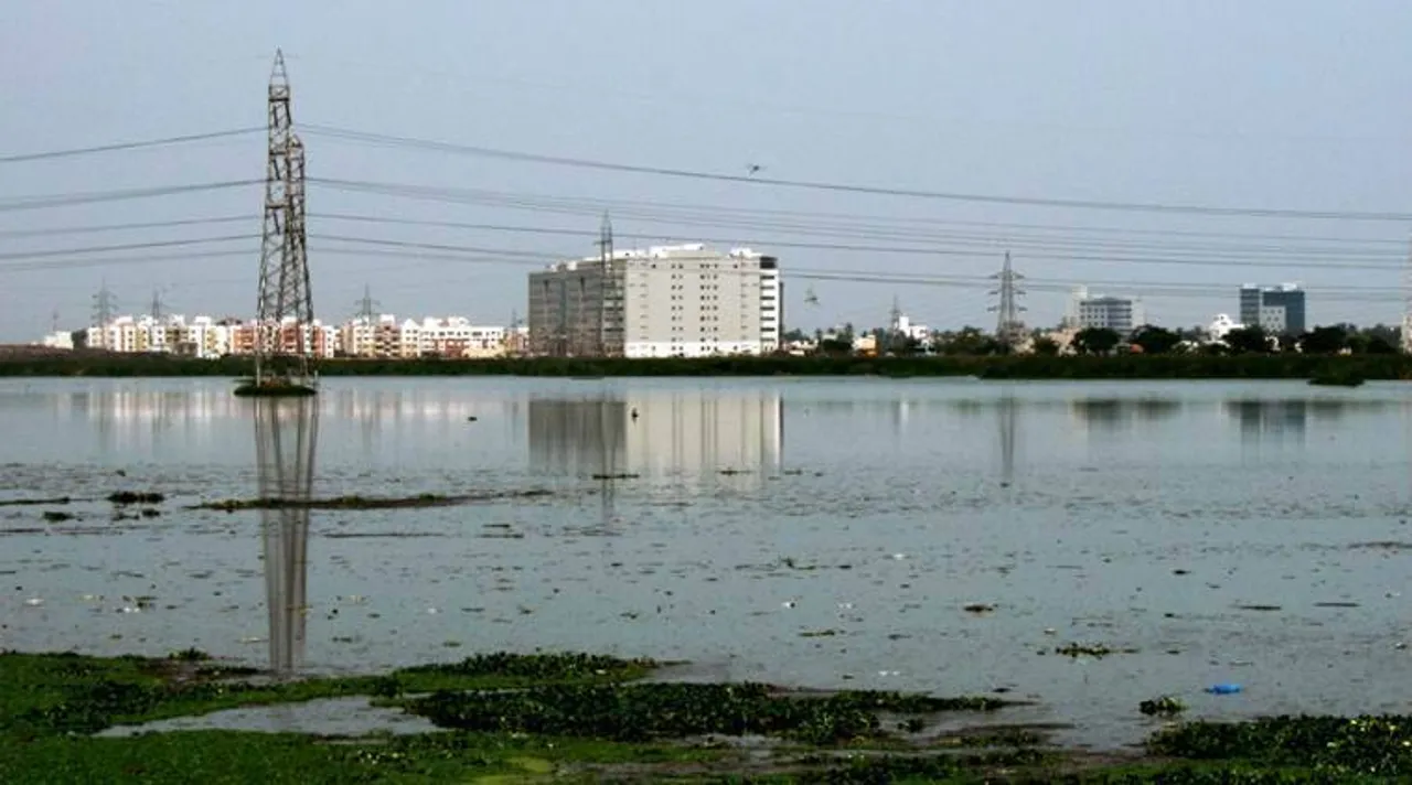 pallikaranai-marsh