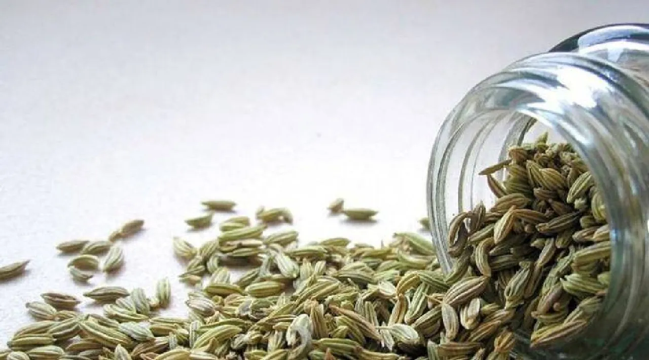 fennel seeds benefits in tamil: From aiding digestion to controlling blood sugar