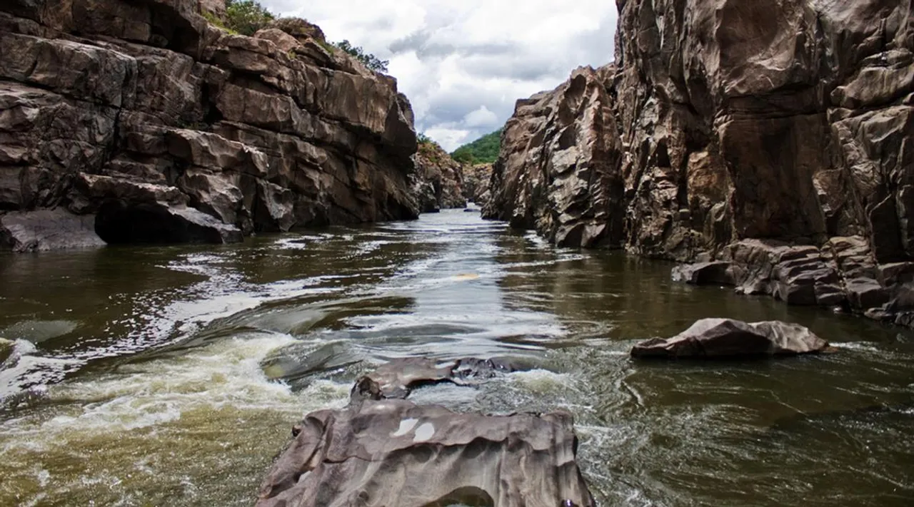 Tamil Nadu urges Cauvery panel