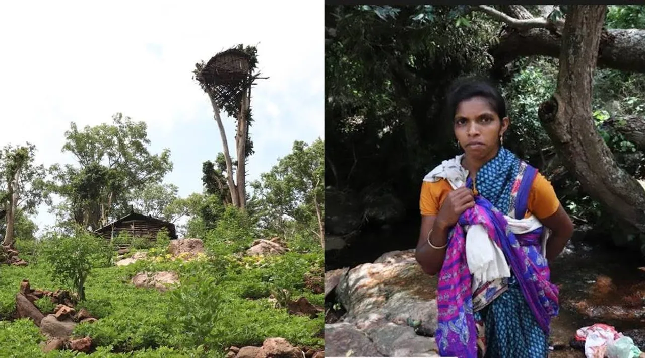 Poochikottamparai, Udumalaipettai, tamil nadu, urban local body elections, tribes