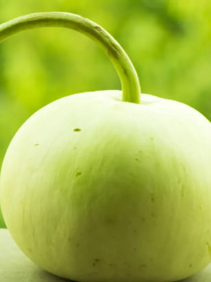 ash gourd 8 - unsplash (1)