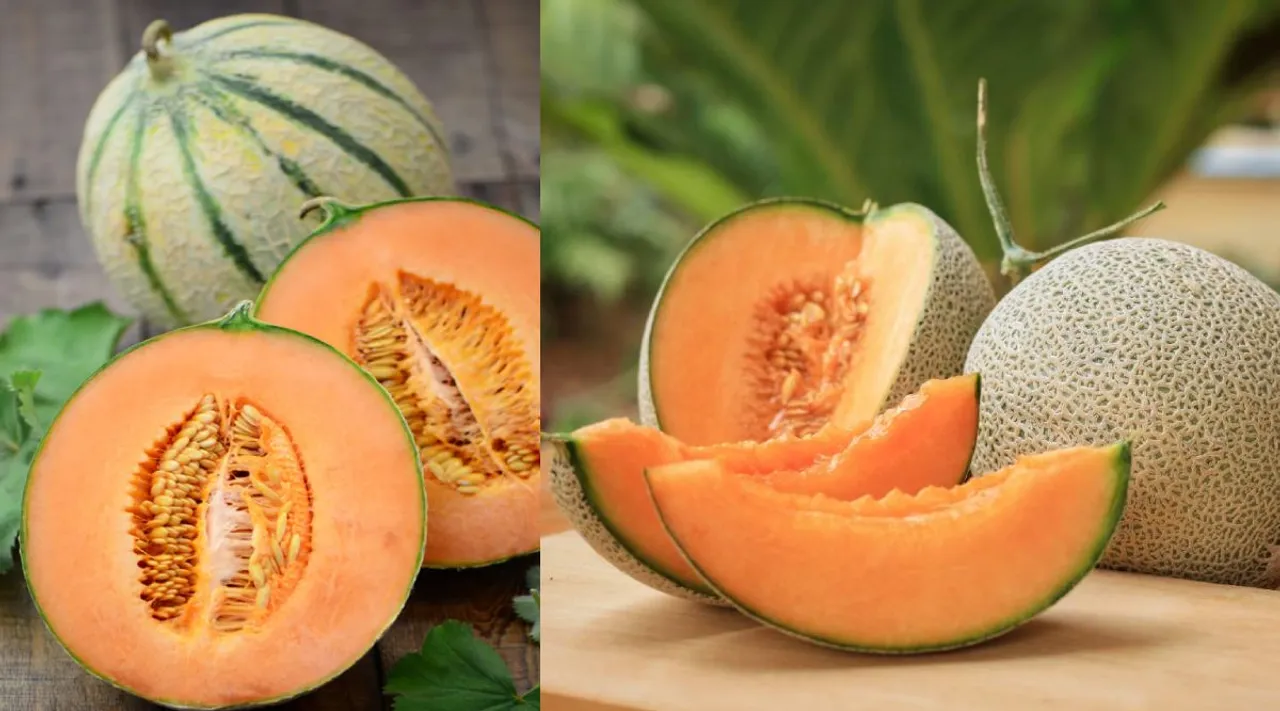 Tamil health tips: kirni palam or muskmelon Benefits in tamil