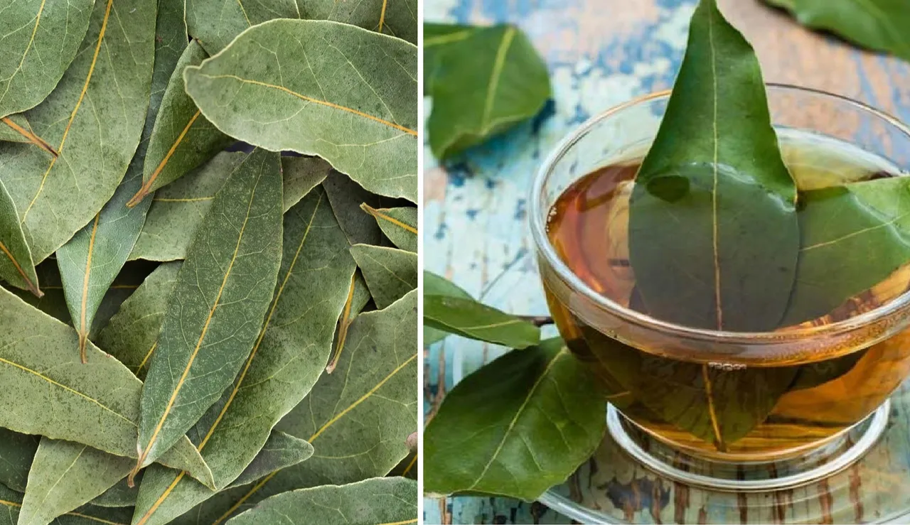 Bay leaf water