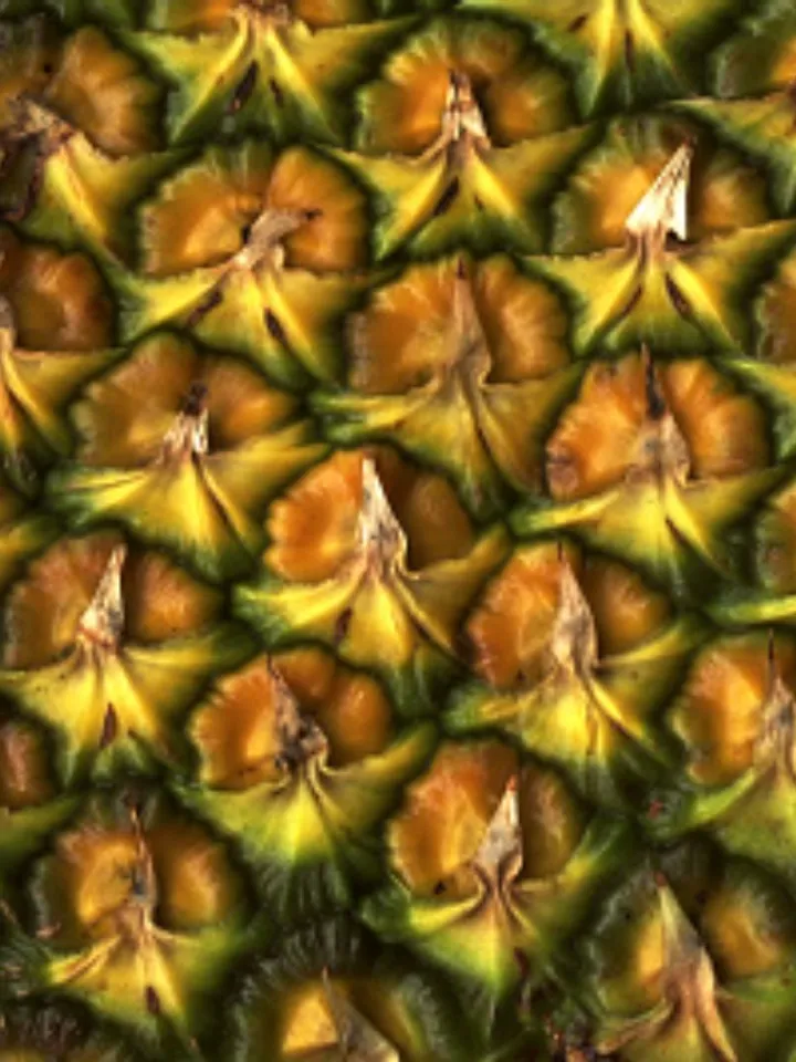 pineapple peel 3 - unsplash (1)