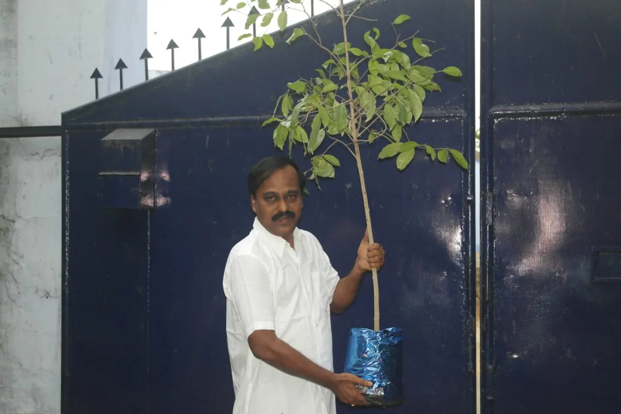 tree thirumaran