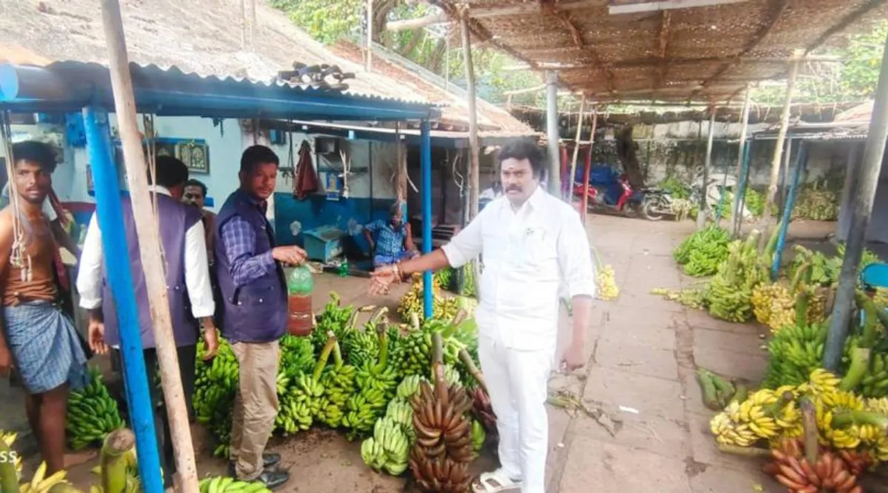 food security officers raid, Tiruchi, Gandhi Market, chemical sprayed mangos seized, திருச்சி காந்தி மார்க்கெட், உணவு பாதுகாப்புத்துறை அதிகாரிகள் சோதனை, ரசாயனம் தெளித்த மாம்பழம் பறிமுதல், ரசாயனம் தெளித்த வாழைப்பழம் பறிமுதல்,