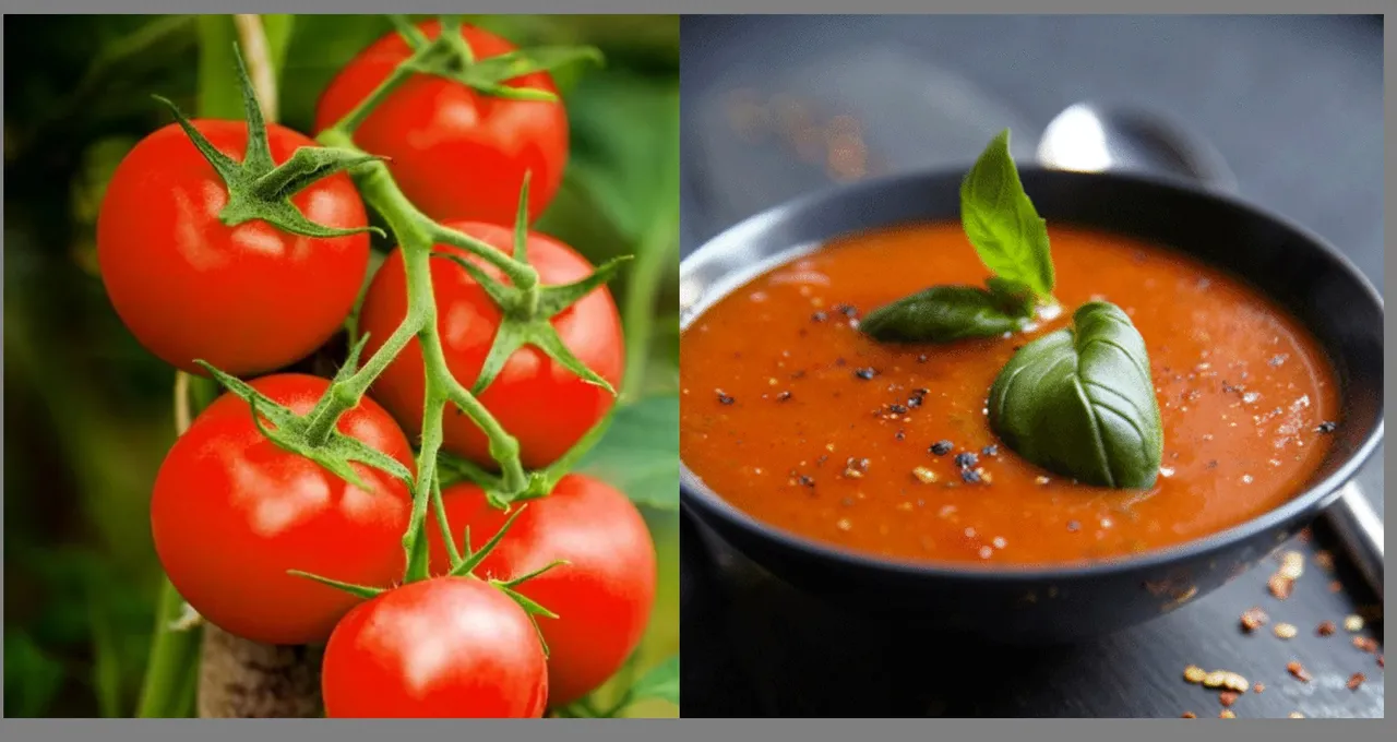 Tomato soup recipe