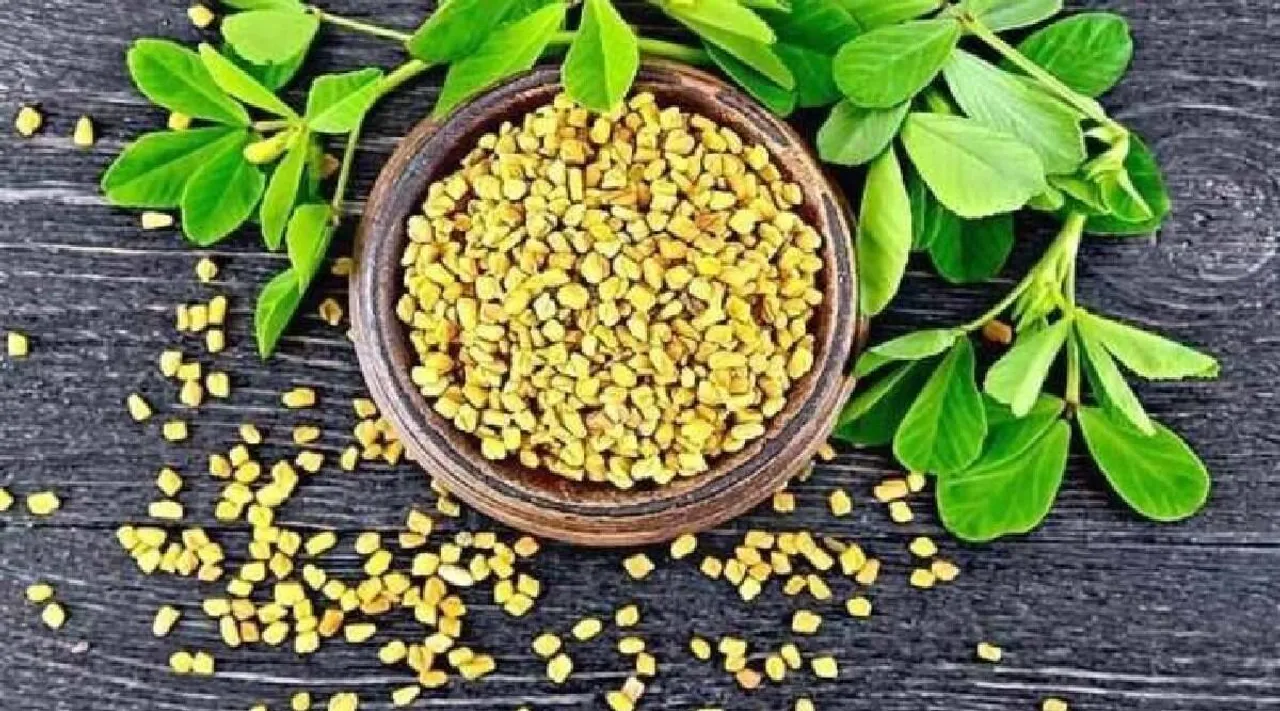 fenugreek seeds for diabetes in tamil