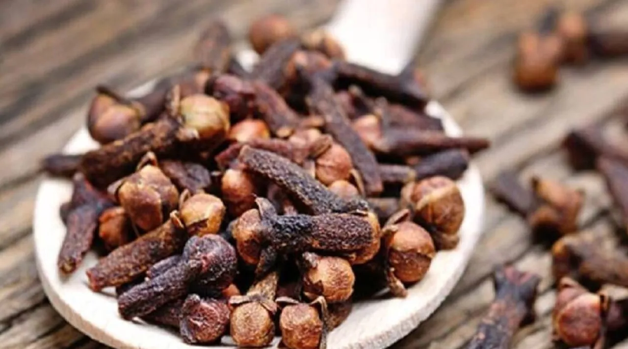 kirambu benefits in tamil: Clove for Managing Blood Sugar Levels