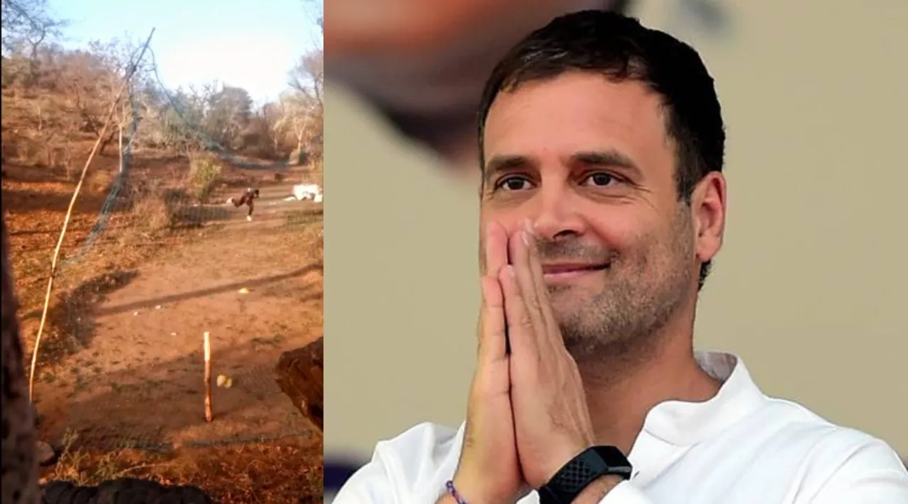 Rahul Gandhi shares viral video, Rajasthan bowler gets a call from cricket academy