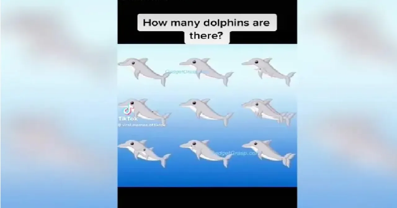 இதுல 9 டால்பின் இருக்குன்னு சொன்னா தப்பு: உங்க IQ -வை செக் பண்ணுங்க பாஸ்!