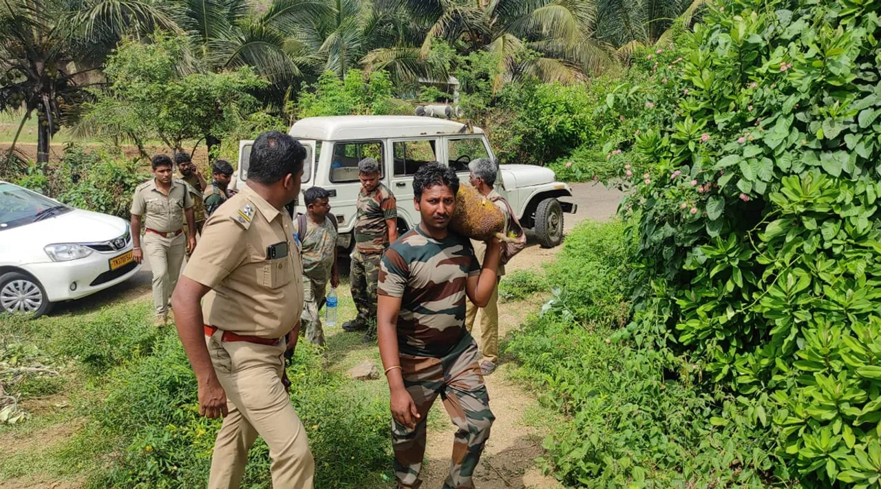 4-வது நாளாக தேடுதல் வேட்டை... ட்ரோன் உதவி... காயமடைந்த காட்டு யானையை பிடிக்க தீவிரம்