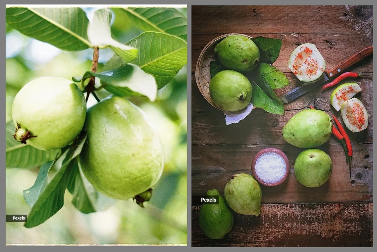 Guava juice health Benefits