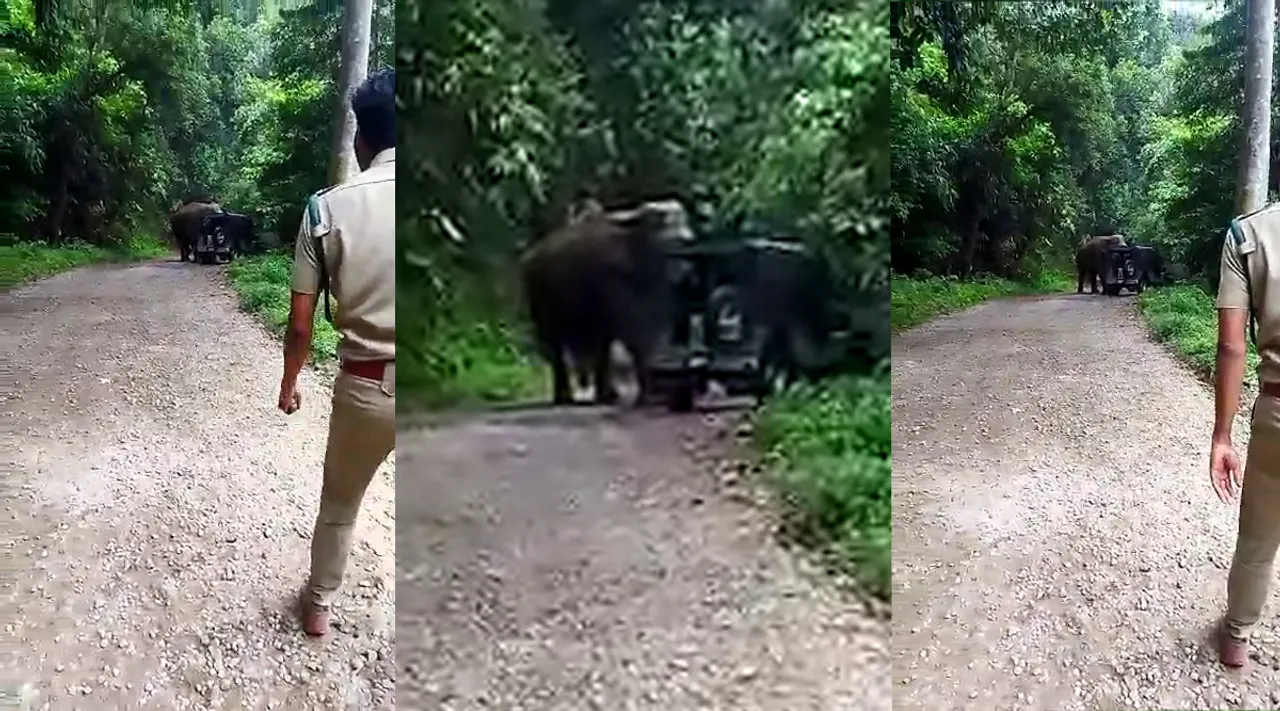 வனத்துறை வாகனத்தை தாக்கிய கொம்பன் : அதிகாரிகள் உயிர் தப்பிய பரபரப்பு காட்சி