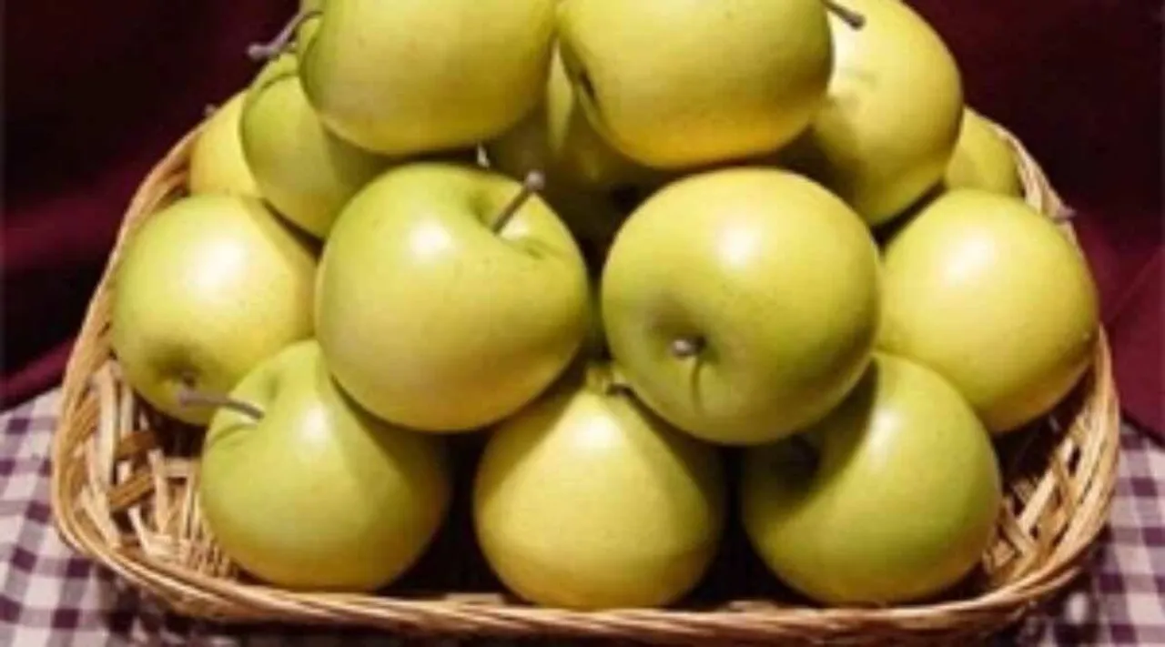 red apple diabetes, green apple diabetes, sugar in apple, apple sugar diabetics, is apple superfood, apple for diabetics, health specials indian express, health news, indian express